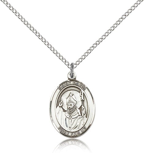 St. David of Wales Medal, Sterling Silver, Medium - 18" 1.2mm Sterling Silver Chain + Clasp